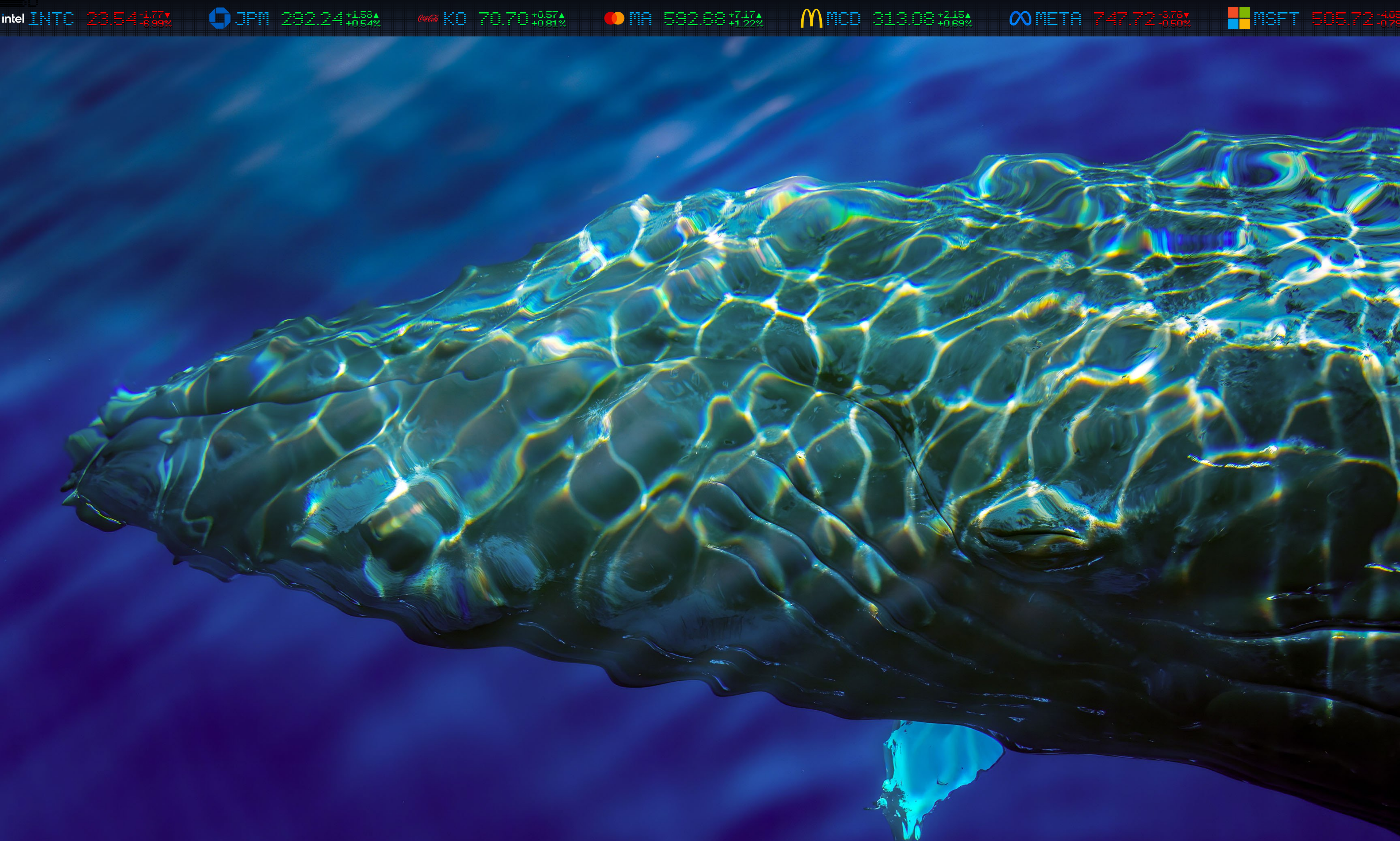 TCKR Screenshot